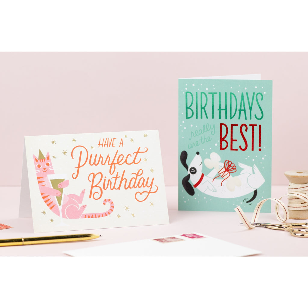 Ricicle Cards Sausage Dog Birthday Card